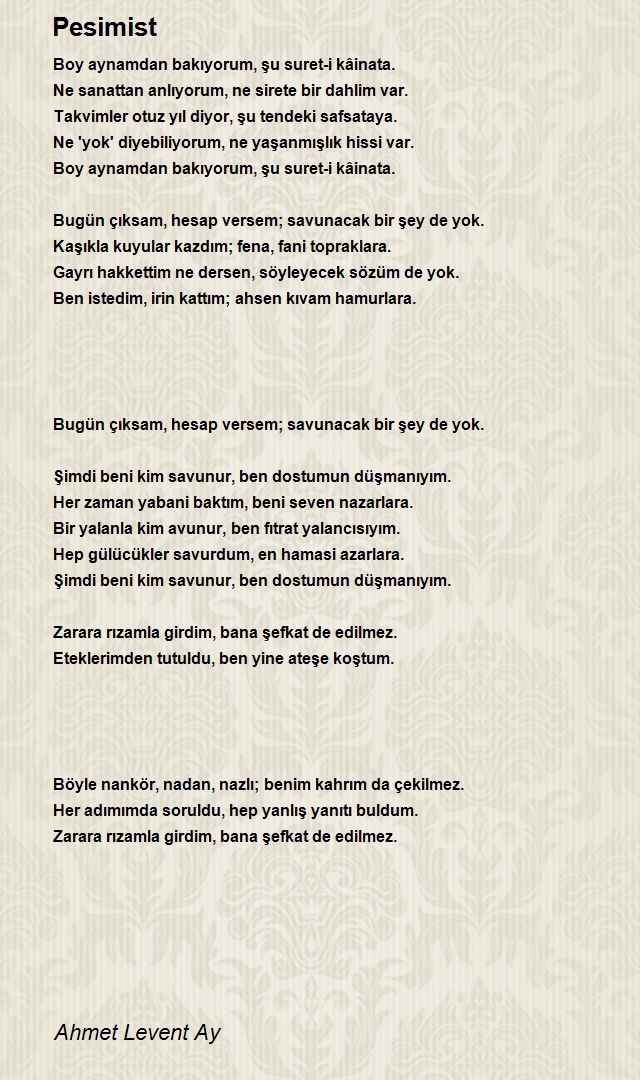 Ahmet Levent Ay