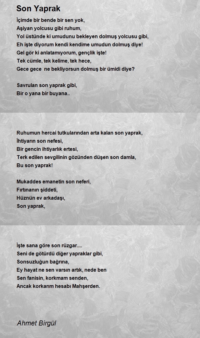 Ahmet Birgül