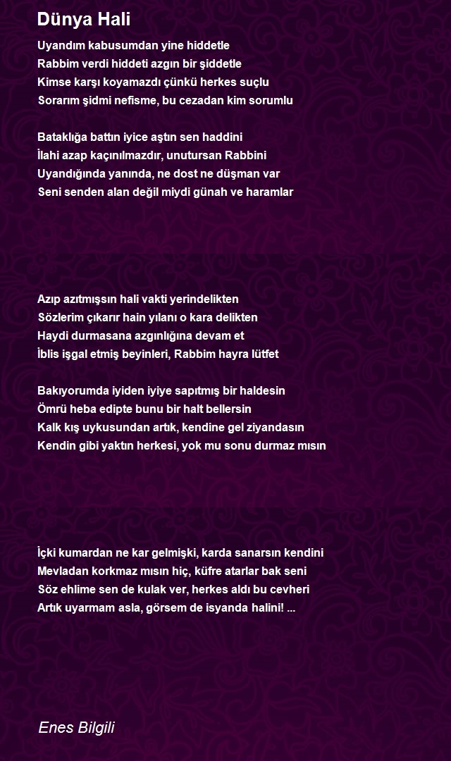 Enes Bilgili