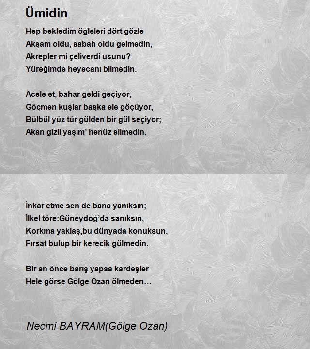 Necmi Bayram