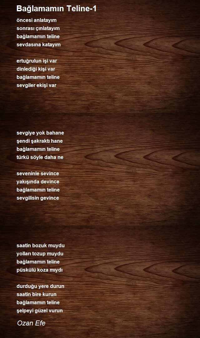 Ozan Efe