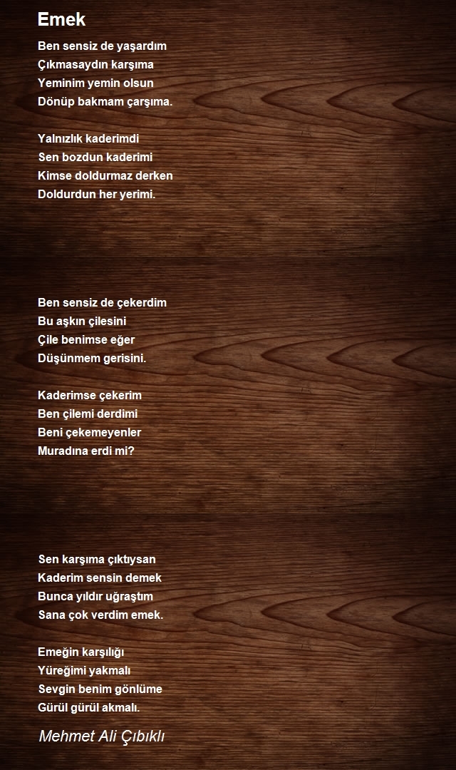 Mehmet Ali Çıbıklı