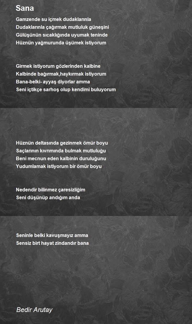 Bedir Arutay