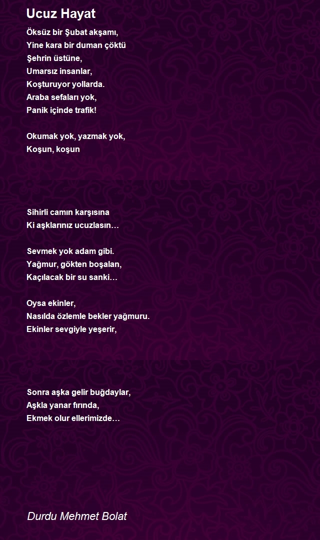 Durdu Mehmet Bolat