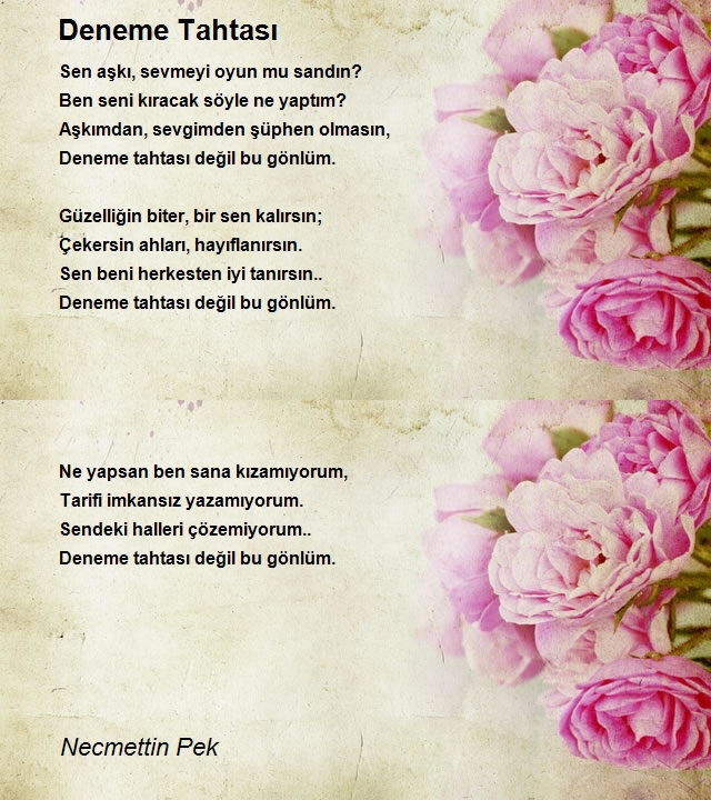 Necmettin Pek