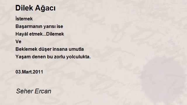 Seher Ercan