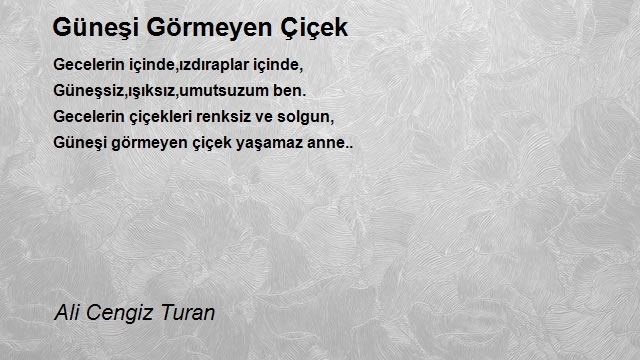 Ali Cengiz Turan