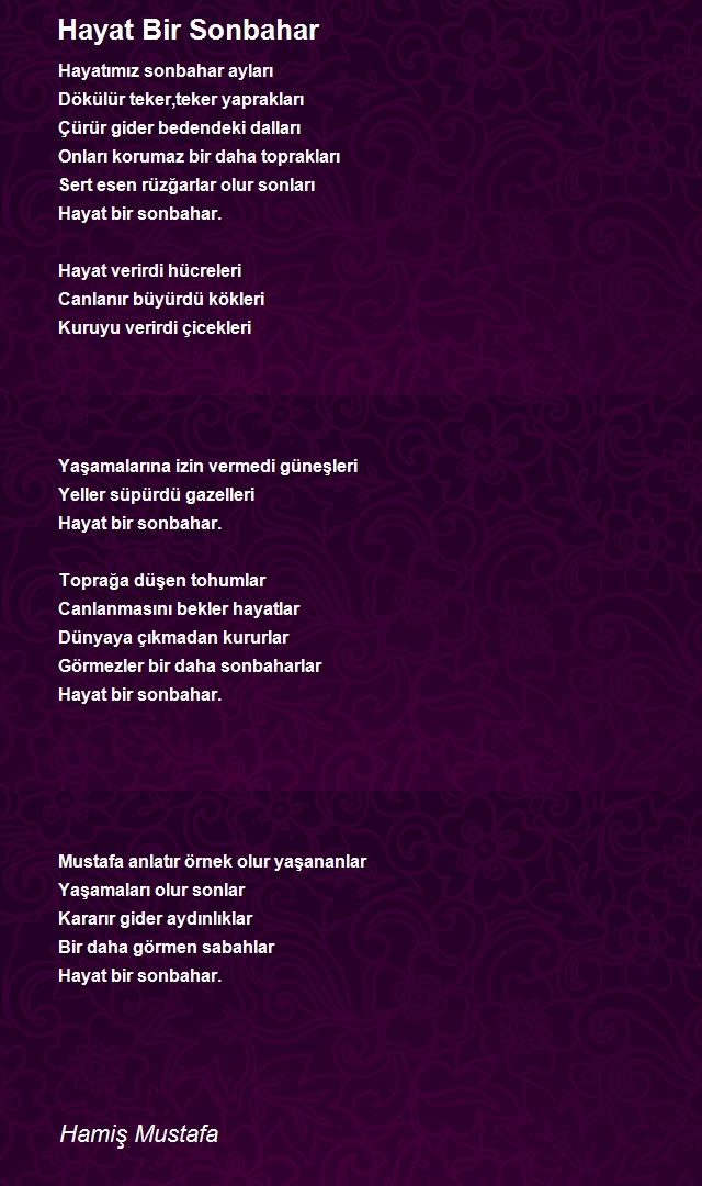 Hamiş Mustafa