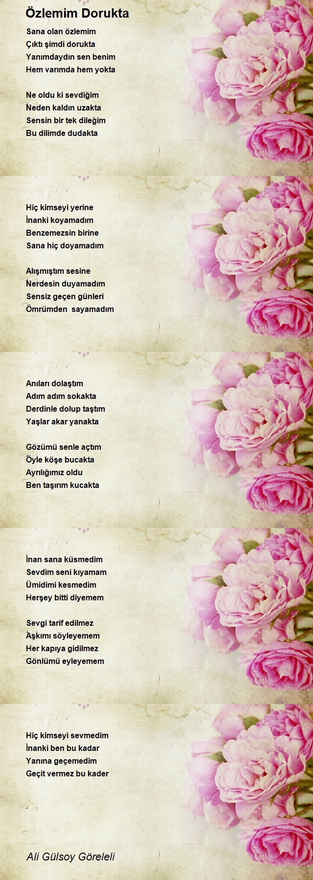 Ali Gülsoy Göreleli