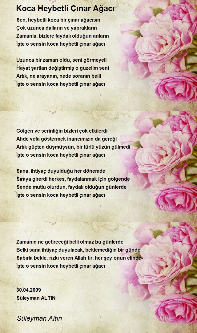 Süleyman Altın