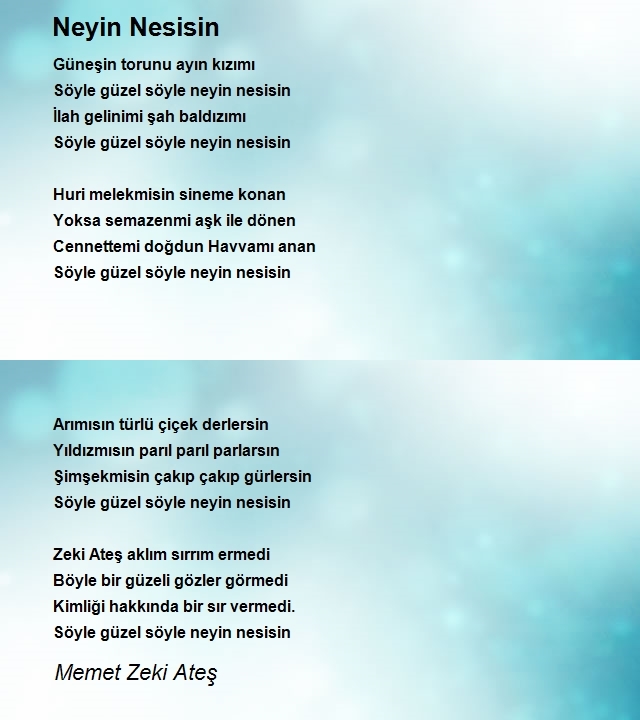 Memet Zeki Ateş