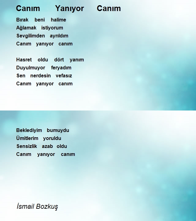 İsmail Bozkuş