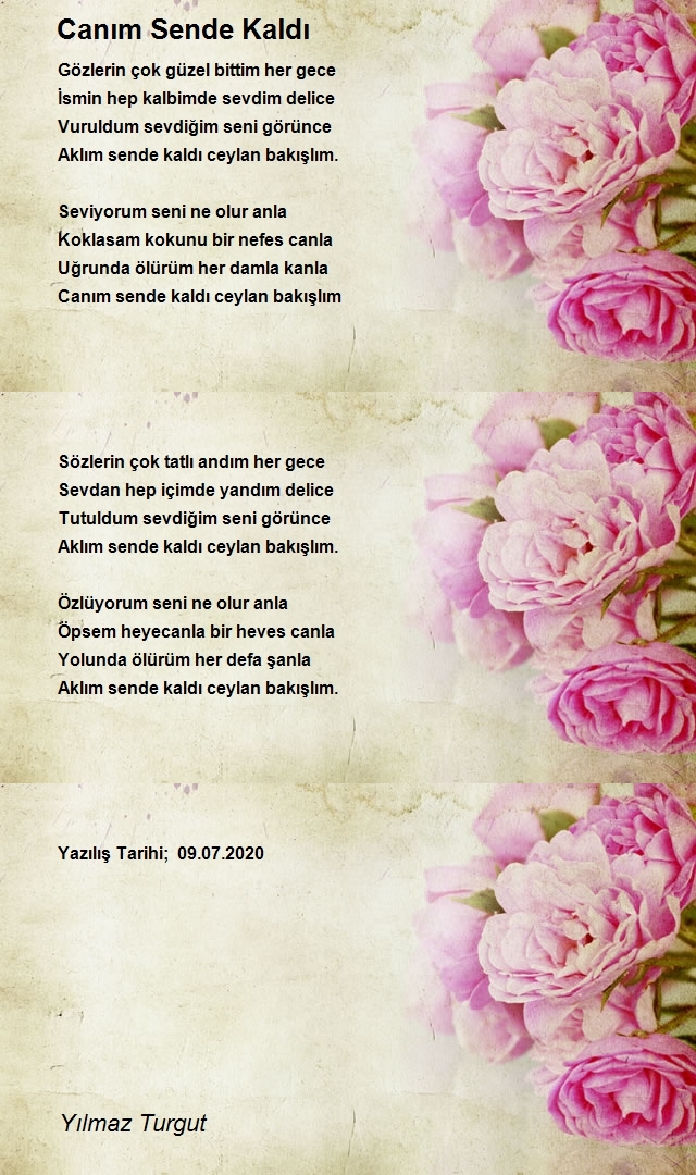 Yılmaz Turgut