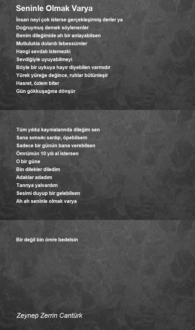 Zeynep Zerrin Cantürk