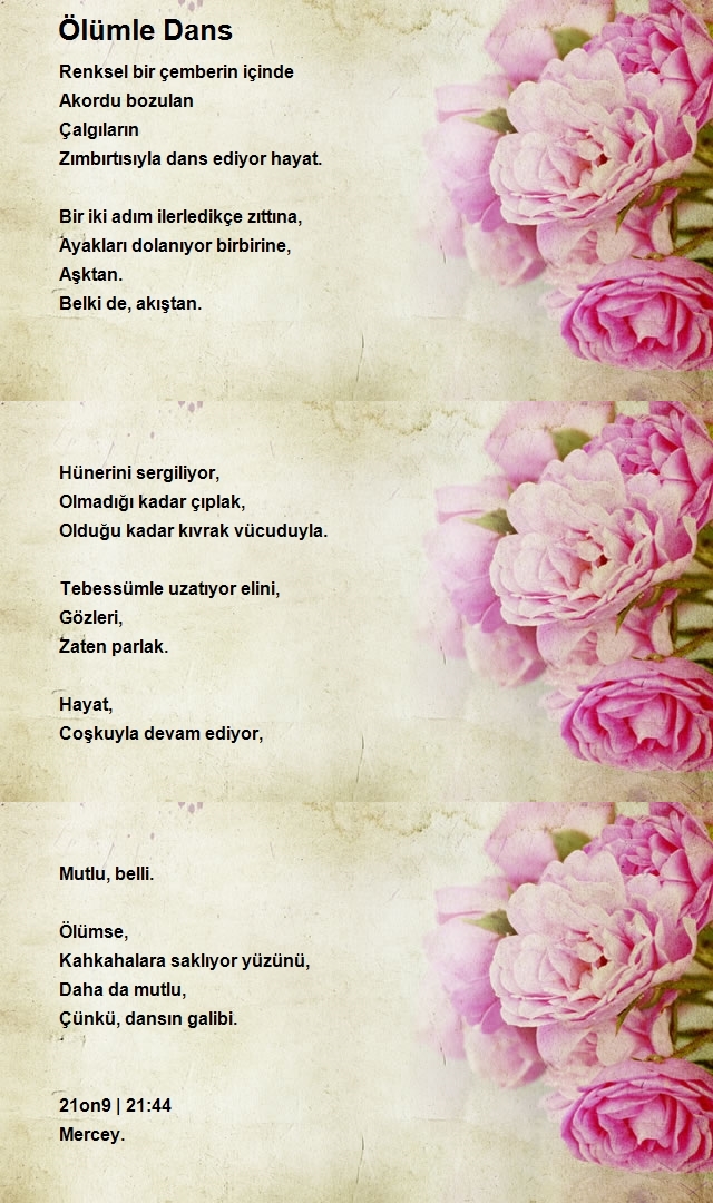 Merve Ceylan