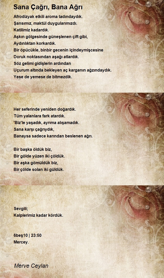 Merve Ceylan
