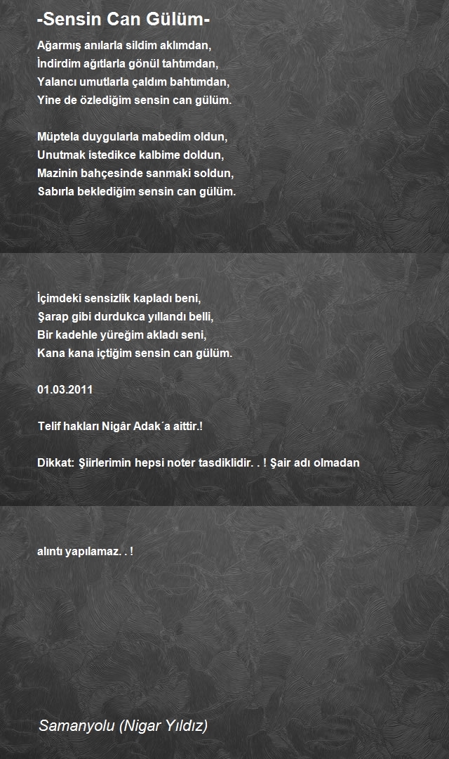Nigar Adak
