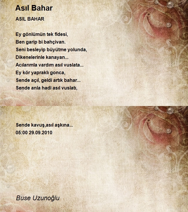 Buse Uzunoğlu