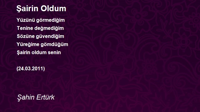 Şahin Ertürk