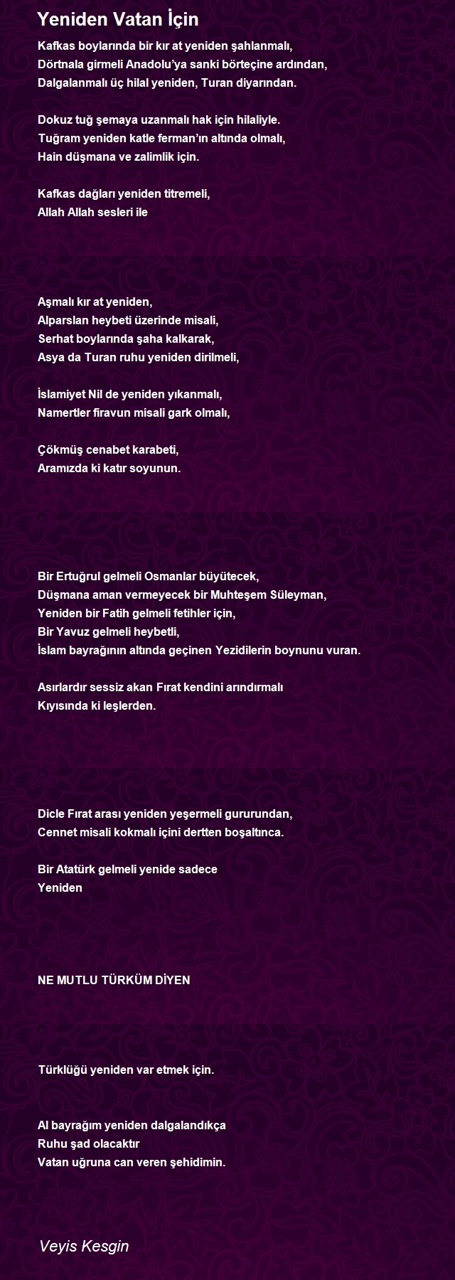 Veyis Kesgin