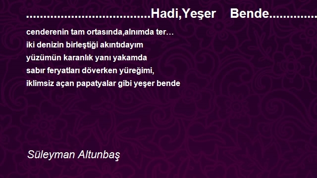 Süleyman Altunbaş