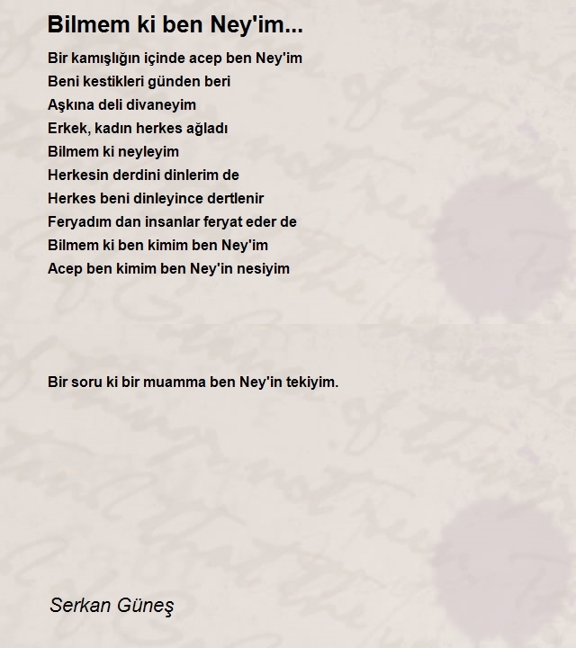 Serkan Güneş