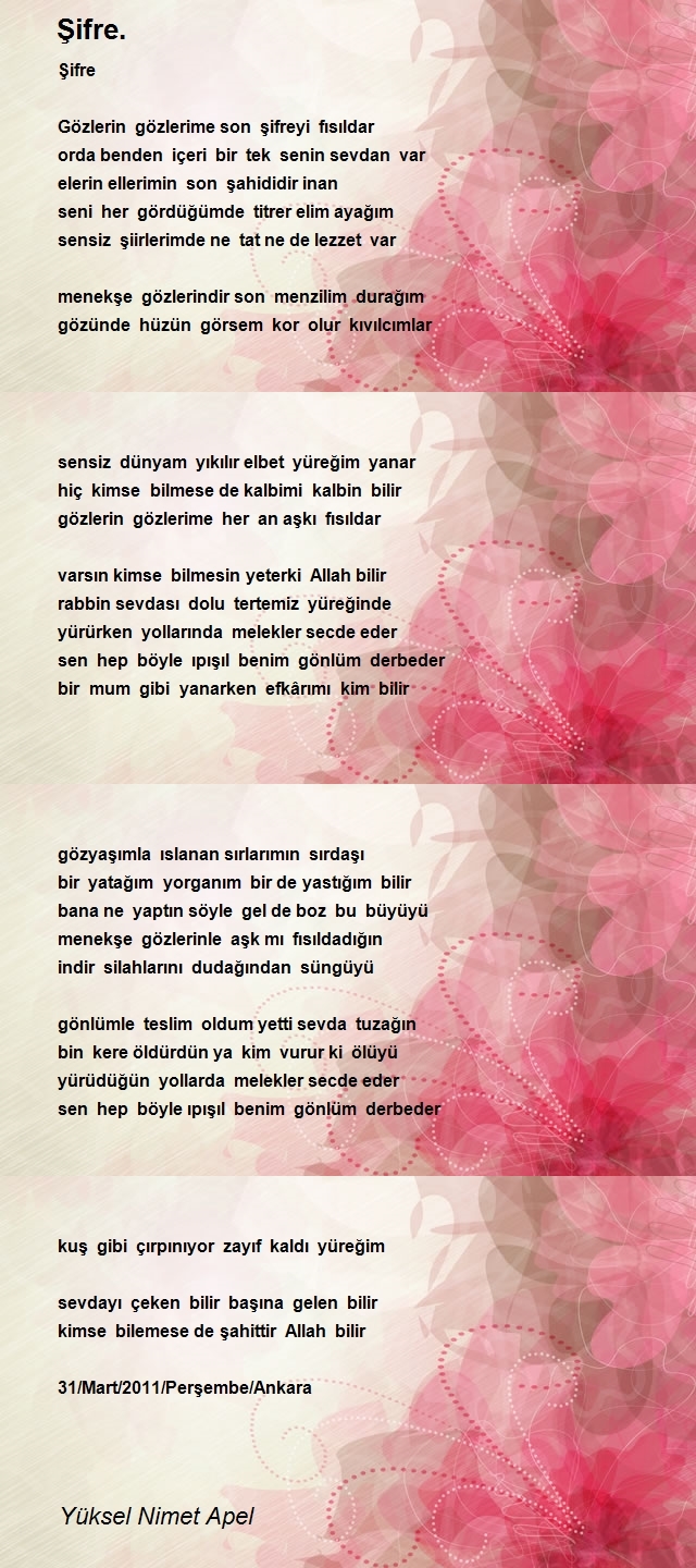 Yüksel Nimet Apel