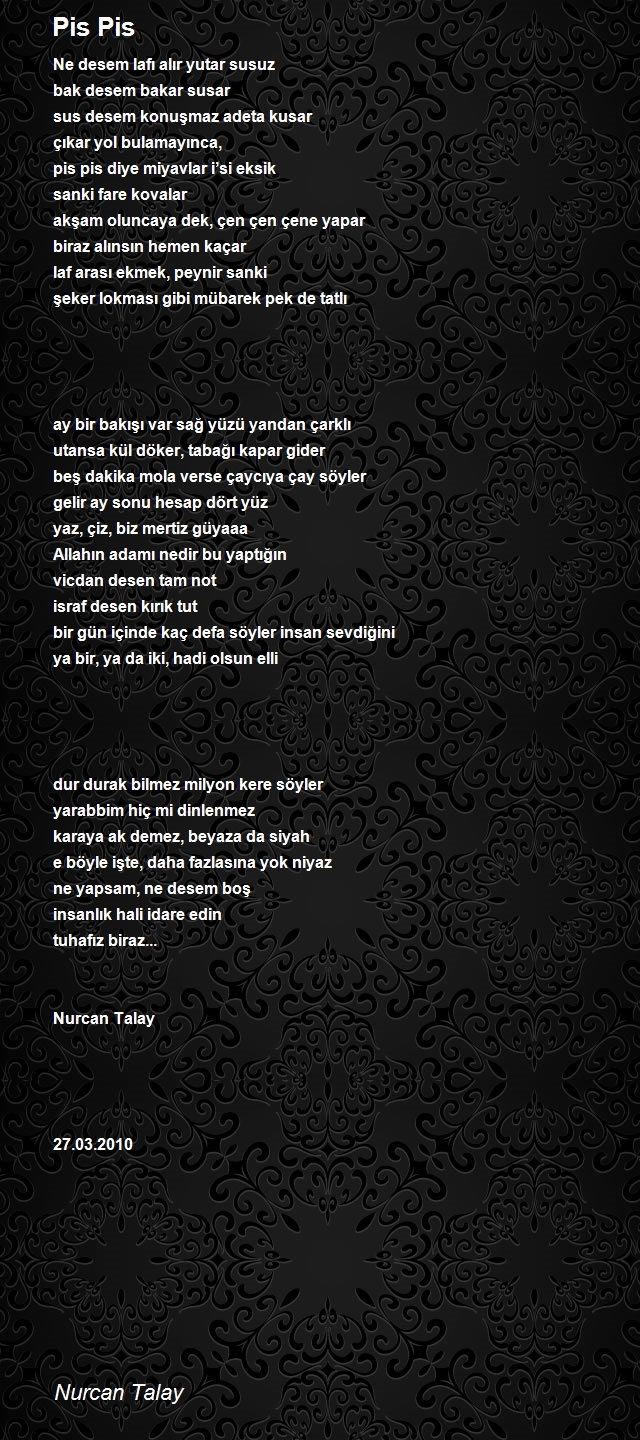 Nurcan Talay