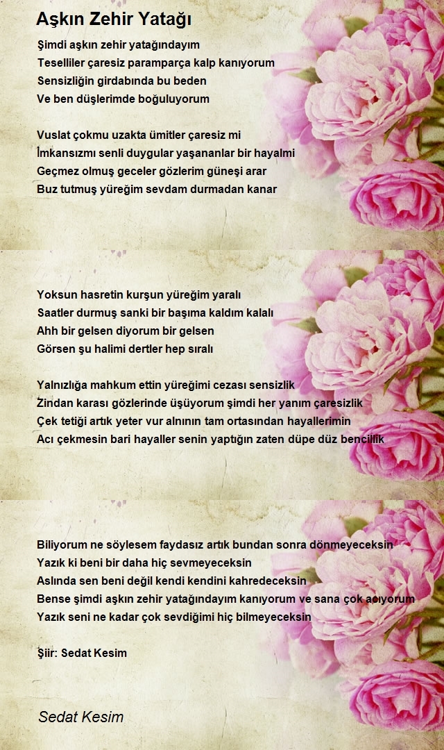 Sedat Kesim