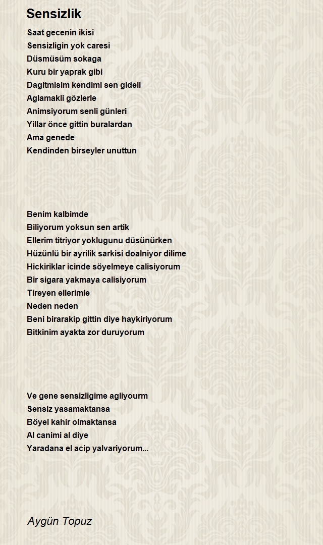 Aygün Topuz