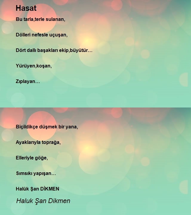 Haluk Şan Dikmen