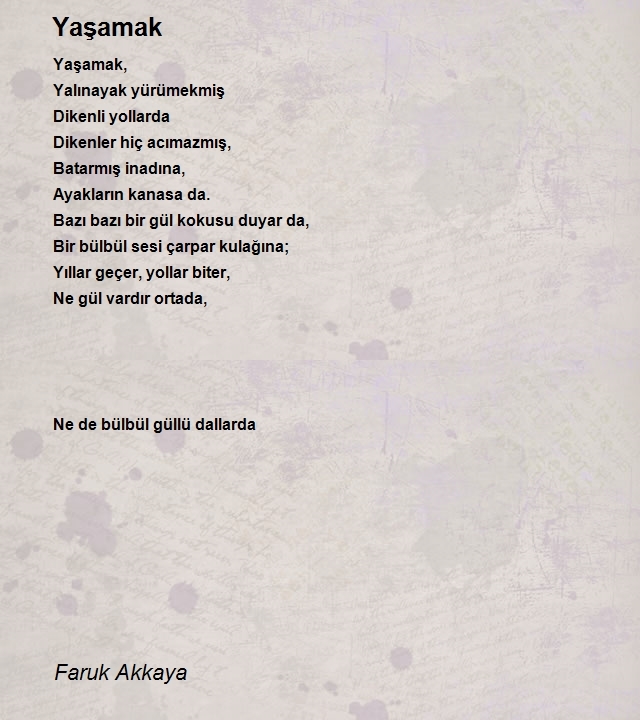 Faruk Akkaya