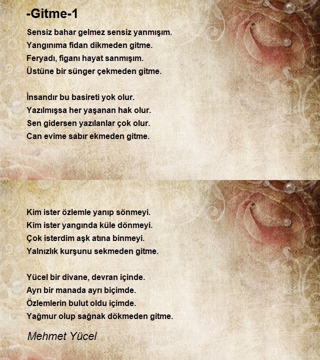 Mehmet Yücel