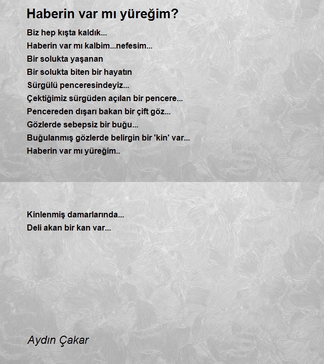 Aydın Çakar