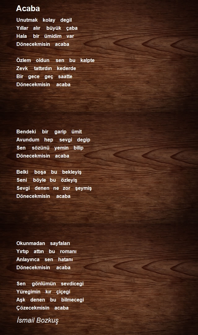 İsmail Bozkuş