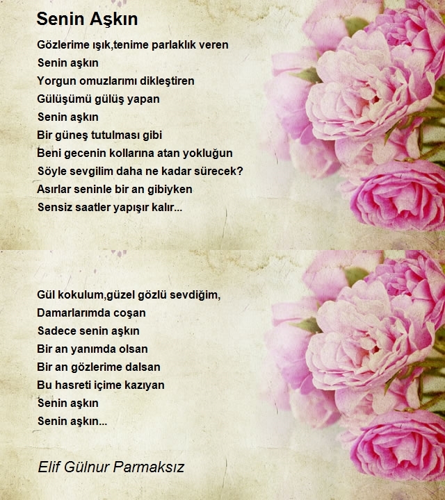 Elif Gülnur Parmaksız