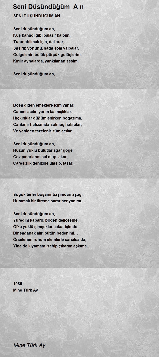 Mine Türk Ay