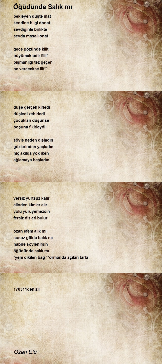 Ozan Efe