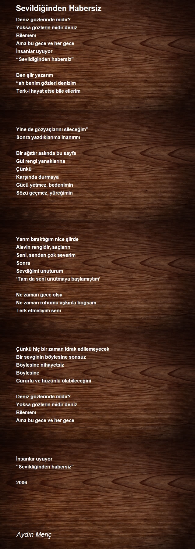 Aydın Meriç