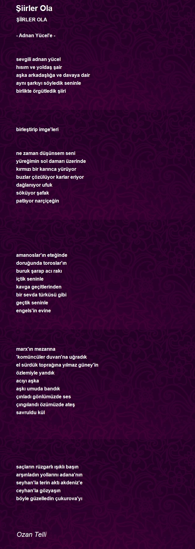 Ozan Telli