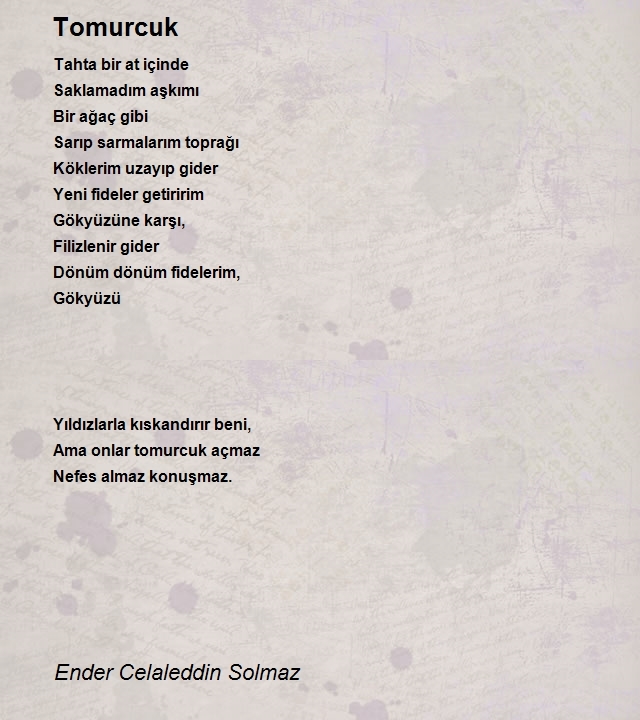 Ender Celaleddin Solmaz