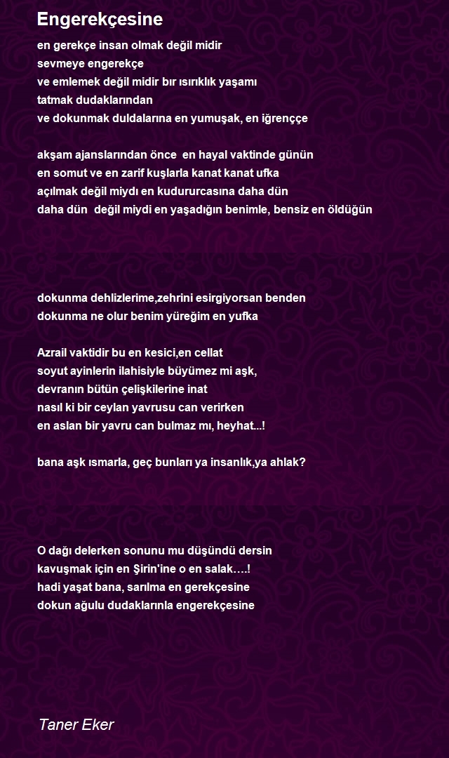 Taner Eker