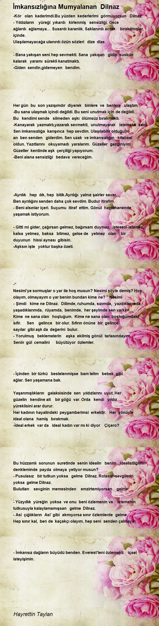 Hayrettin Taylan