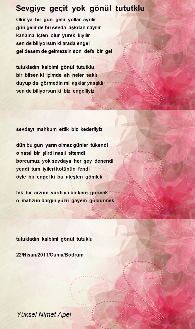 Yüksel Nimet Apel