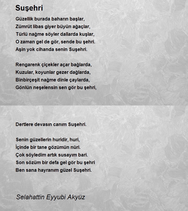 Selahattin Eyyubi Akyüz