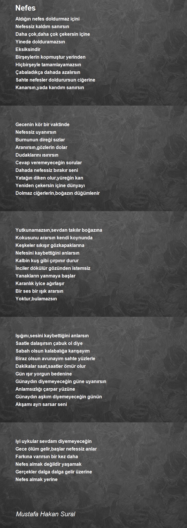 Mustafa Hakan Sural