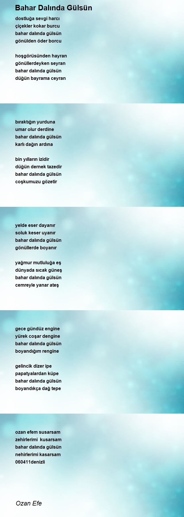 Ozan Efe