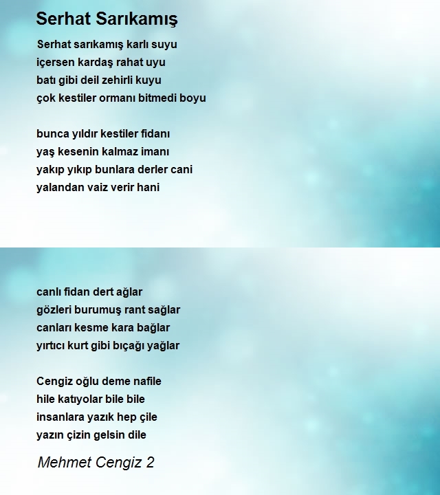 Mehmet Cengiz 2