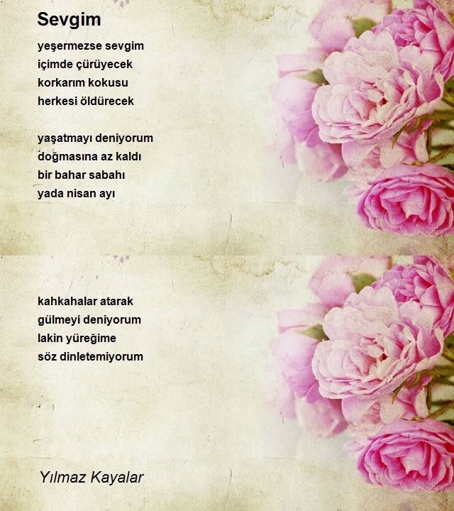 Yılmaz Kayalar