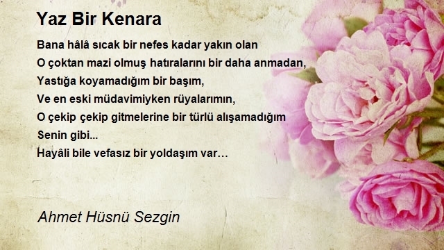 Ahmet Hüsnü Sezgin